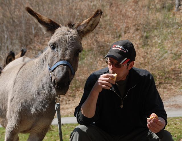 LAD_0081.jpg - komm ich so auch auf's Bild?