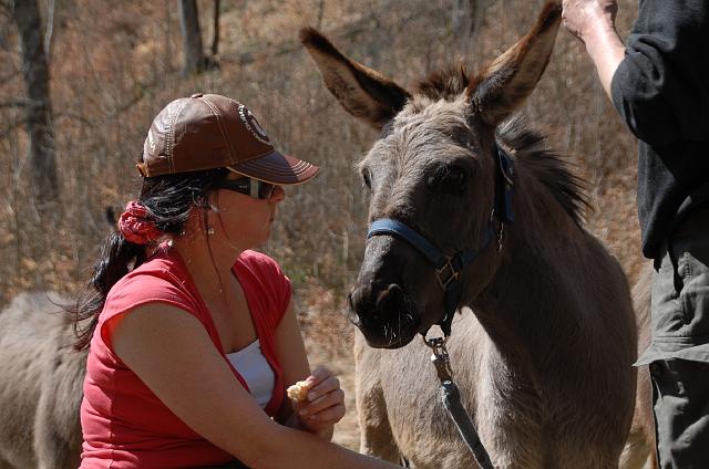 LAD_0089.jpg - ne! von meiner bekommst du auch nichts!