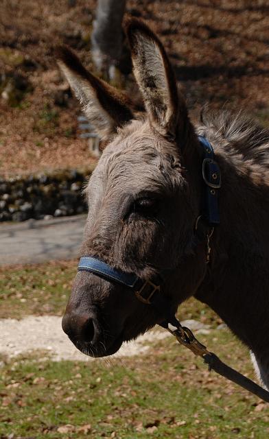 LAD_0105.jpg - Frieda