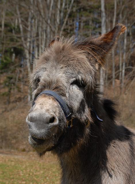 LAD_0120.jpg - Paula