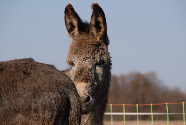 LAD_0139.JPG - Paula