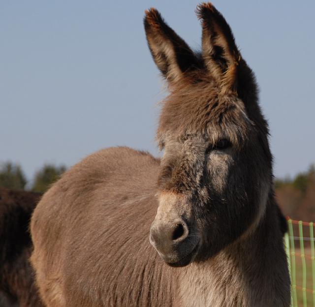 LAD_0140.jpg - Paula