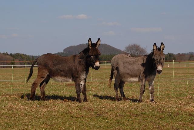 LAD_0149.JPG - Konrad und Suse