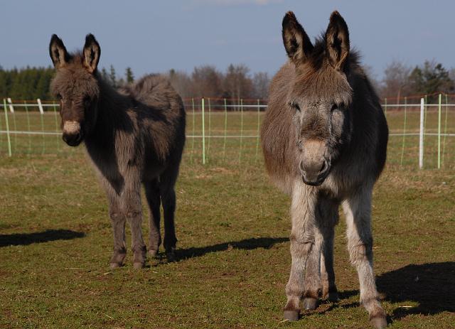 LAD_0243.jpg - Emma + Paula