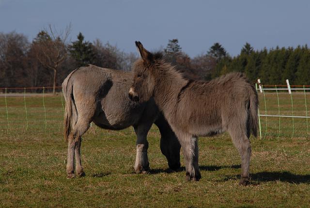 LAD_0246.JPG - Emma mit Mama Frieda