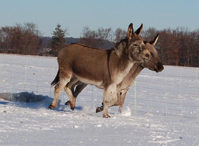DSC_7110.jpg - Paula mit Mama Frieda