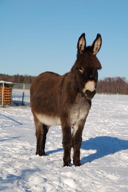 DSC_7137.JPG - Konrad