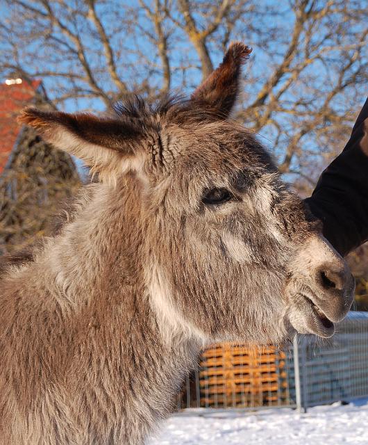 DSC_7164.jpg - Paula