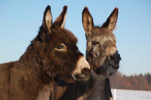DSC_7170.JPG - Konrad mit Paula