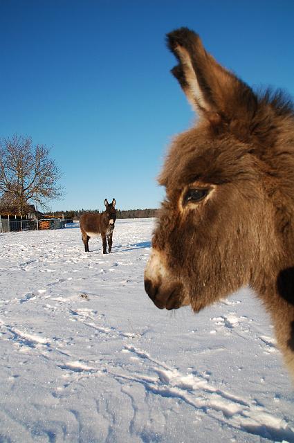DSC_7185.JPG - Emma und hiten Konrad