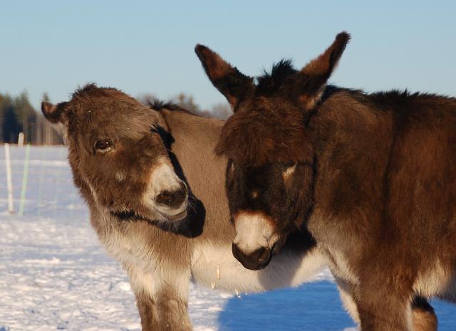 DSC_7191.jpg - Michael Landmann