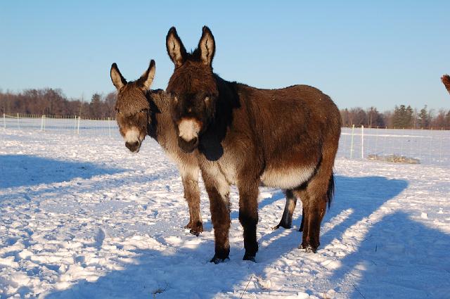 DSC_7193.JPG - Paula und Konrad