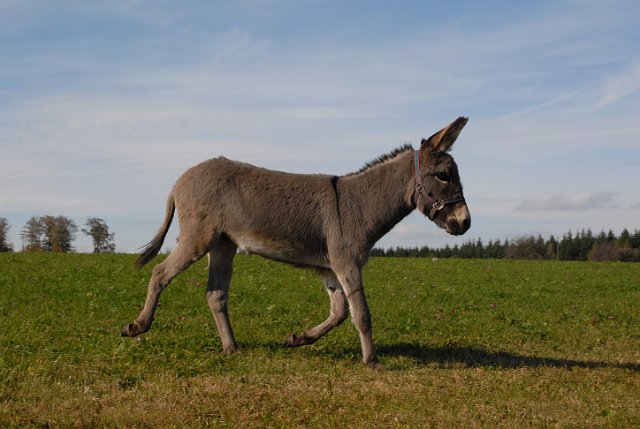 LAD_2708.JPG - Emma (c) Michael Landmann